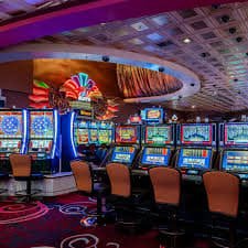 bi555